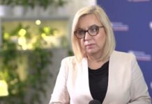 Trwają prace nad szczegółami ścisłej ochrony 20 proc. lasów. Prawie gotowy jest także projekt ws. kontroli społecznej nad lasami